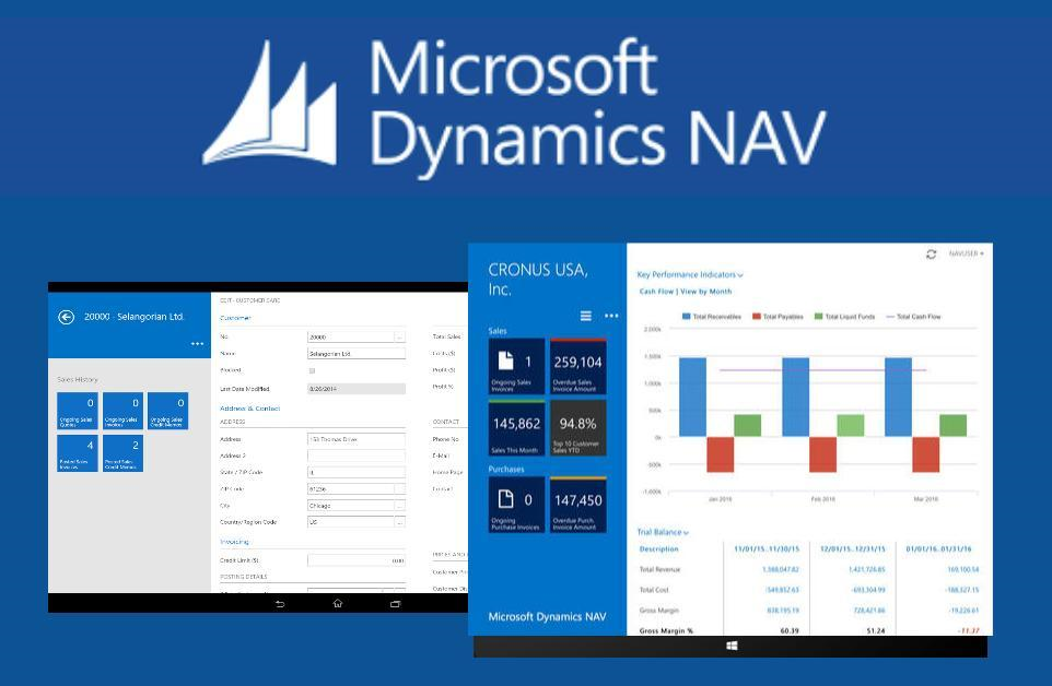 Introduction to Microsoft Dynamics NAV